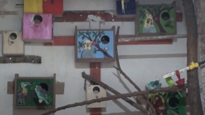 Salma Üretim Mi ? Kafes Üretimi Mi ?