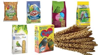 En Ucuz Muhabbet Kuşu Yemi Güncel Fiyatları