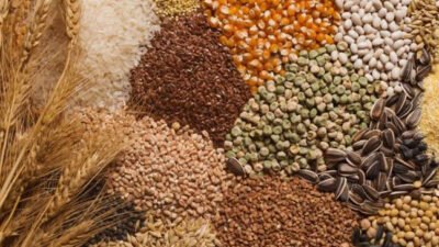 Güncel Yem Fiyatları – Hayvan Çuval Yem Fiyatları